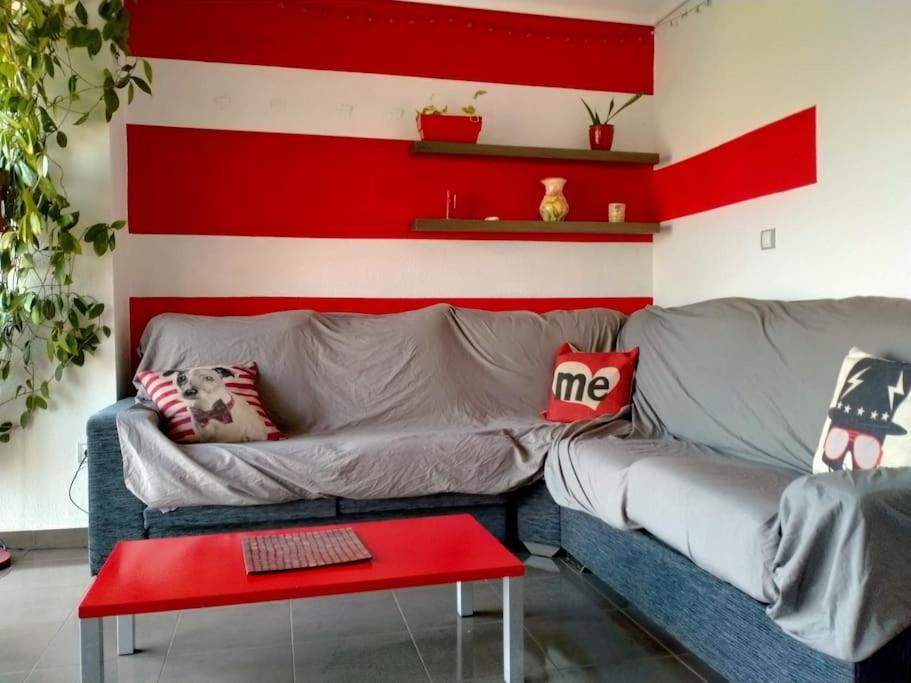 Apartmán Zona Centro-Parking Gratuito Castellón de la Plana Exteriér fotografie